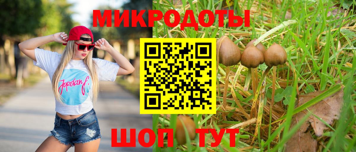 Северск  Псилоцибиновые грибы MAGIC MUSHROOMS  Вход с VPN 