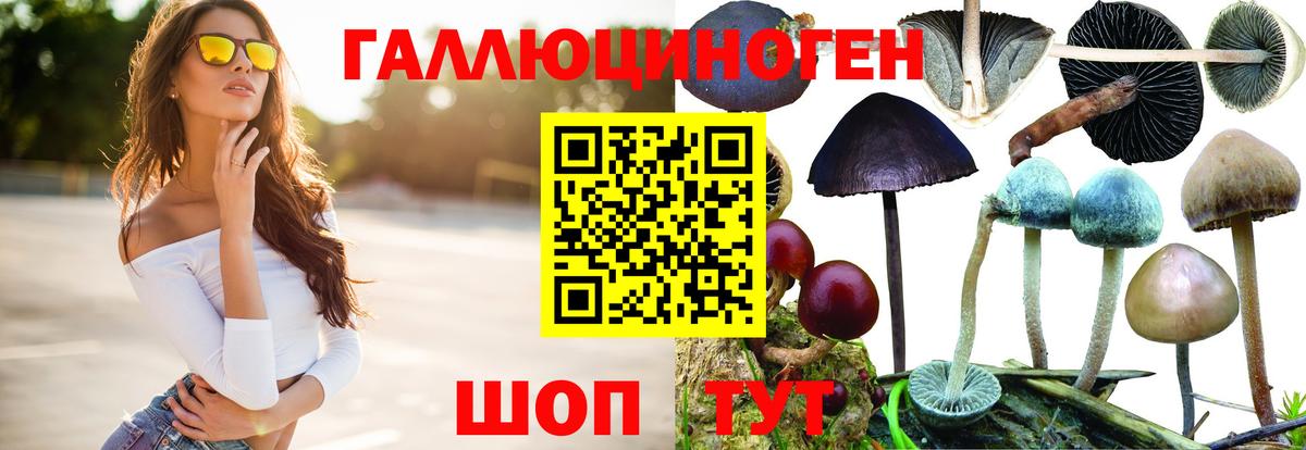 Галлюциногенные грибы мухоморы Северск
