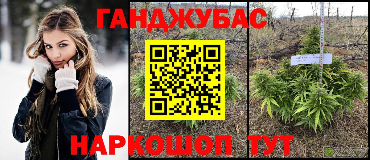 МАРИХУАНА семена Северск